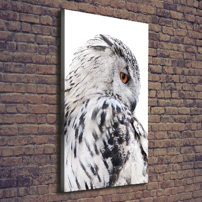 Tableau photo sur toile Hibou blanc