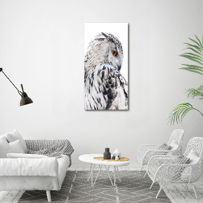 Tableau photo sur toile Hibou blanc