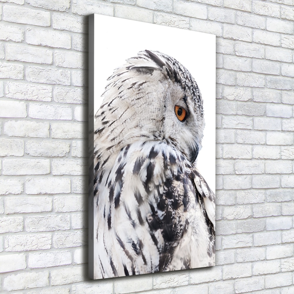 Tableau photo sur toile Hibou blanc