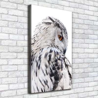 Tableau photo sur toile Hibou blanc