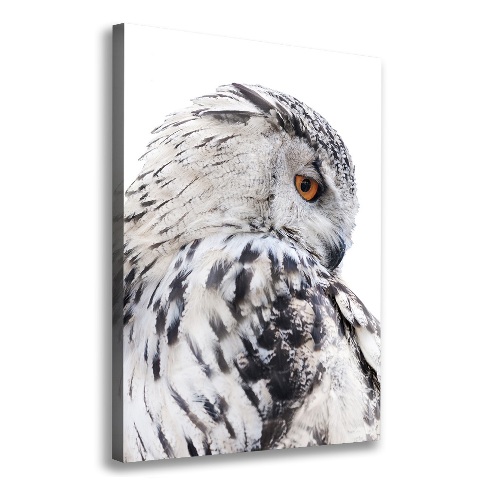 Tableau photo sur toile Hibou blanc