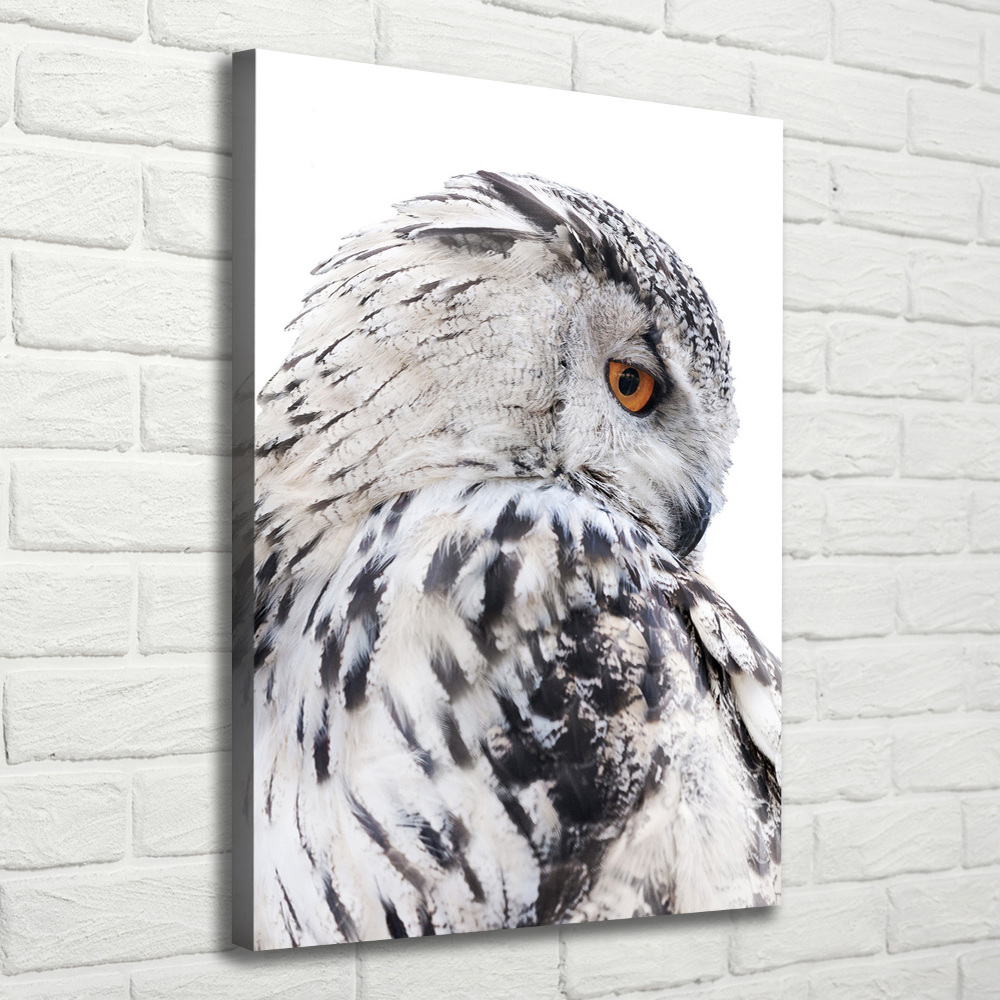 Tableau photo sur toile Hibou blanc