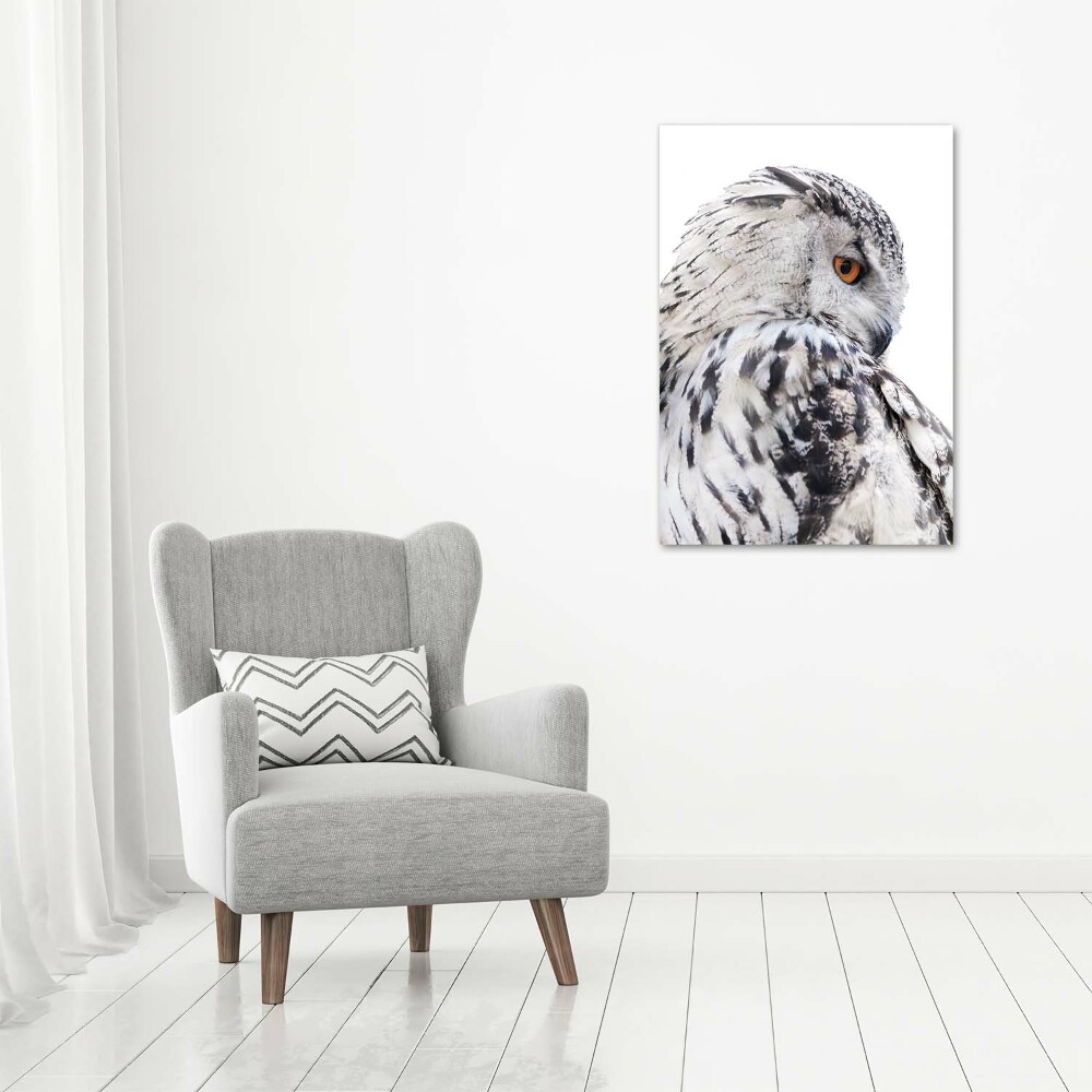 Tableau photo sur toile Hibou blanc