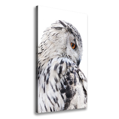 Tableau photo sur toile Hibou blanc