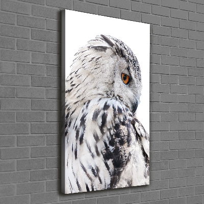 Tableau photo sur toile Hibou blanc