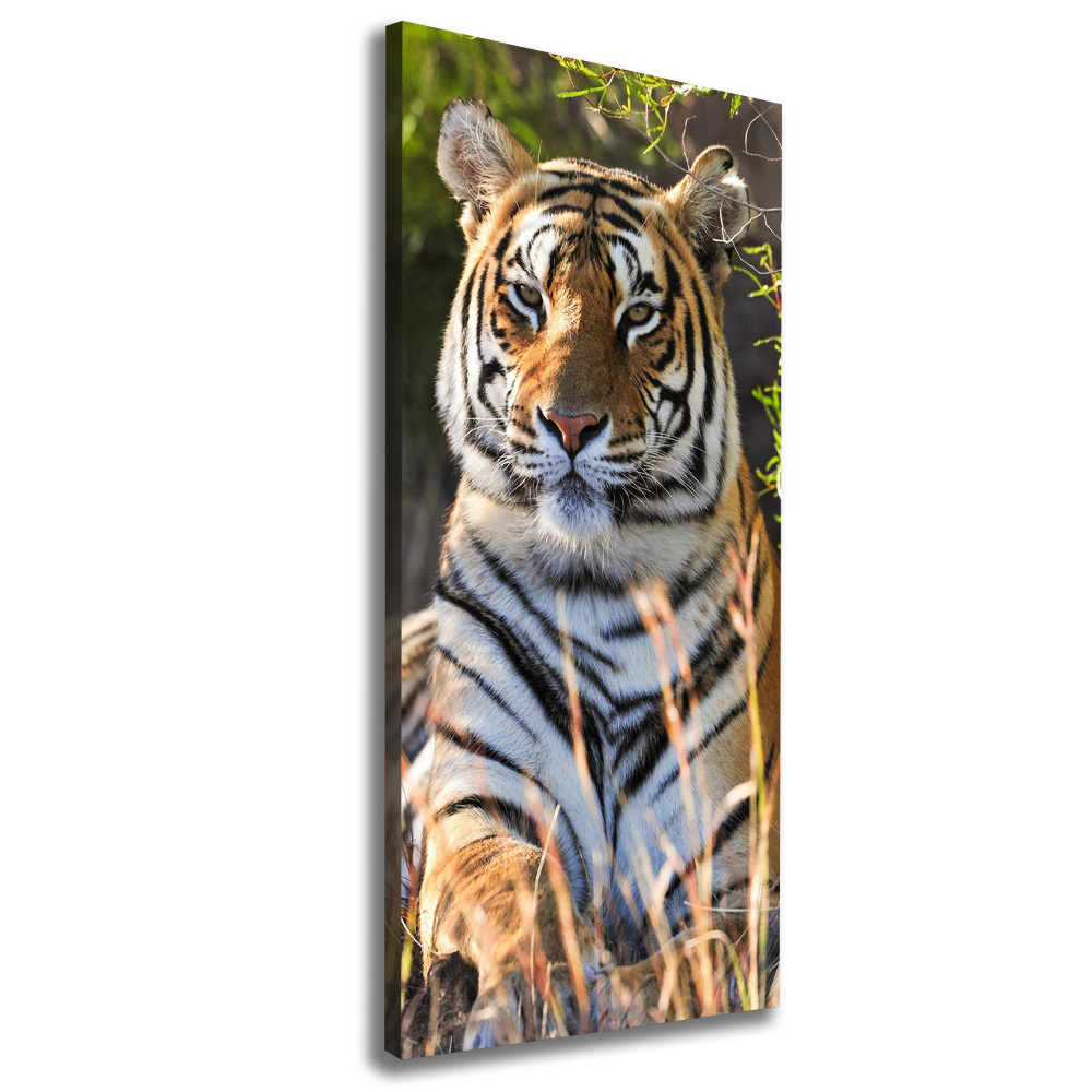 Tableau sur toile Tigre