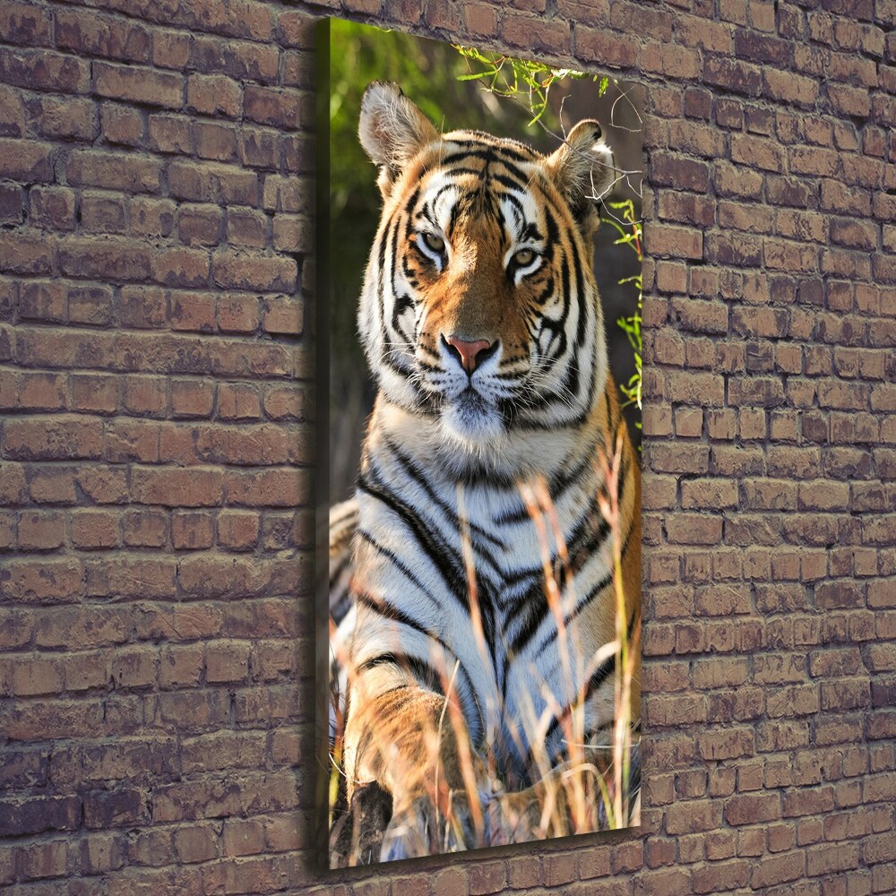 Tableau sur toile Tigre