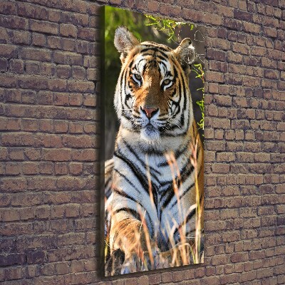 Tableau sur toile Tigre