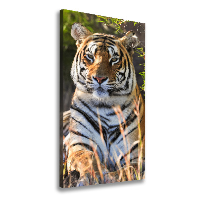 Tableau sur toile Tigre