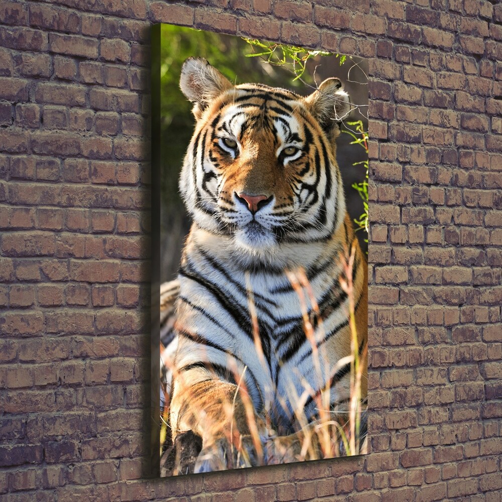 Tableau sur toile Tigre