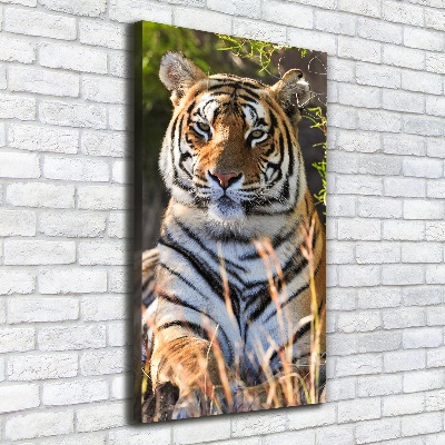 Tableau sur toile Tigre