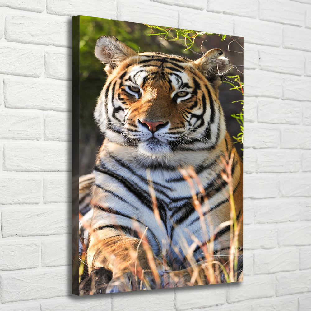 Tableau sur toile Tigre