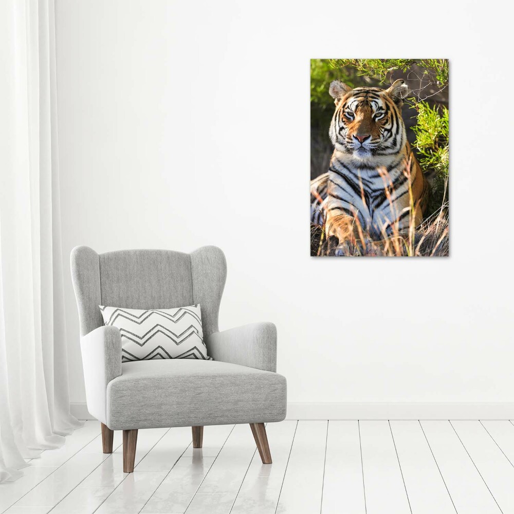 Tableau sur toile Tigre