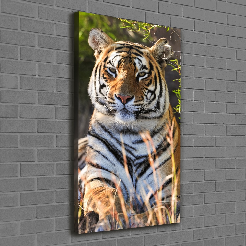 Tableau sur toile Tigre