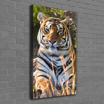 Tableau sur toile Tigre