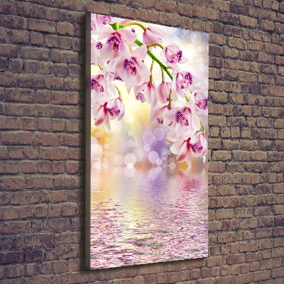 Tableau photo sur toile Orchidée