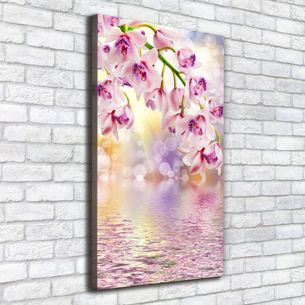 Tableau photo sur toile Orchidée