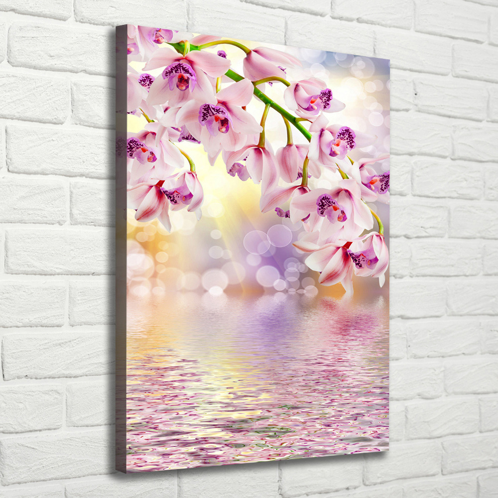 Tableau photo sur toile Orchidée