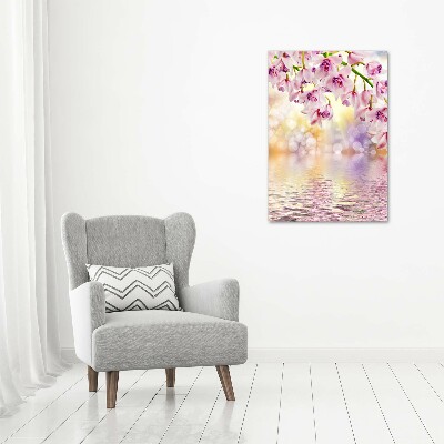 Tableau photo sur toile Orchidée