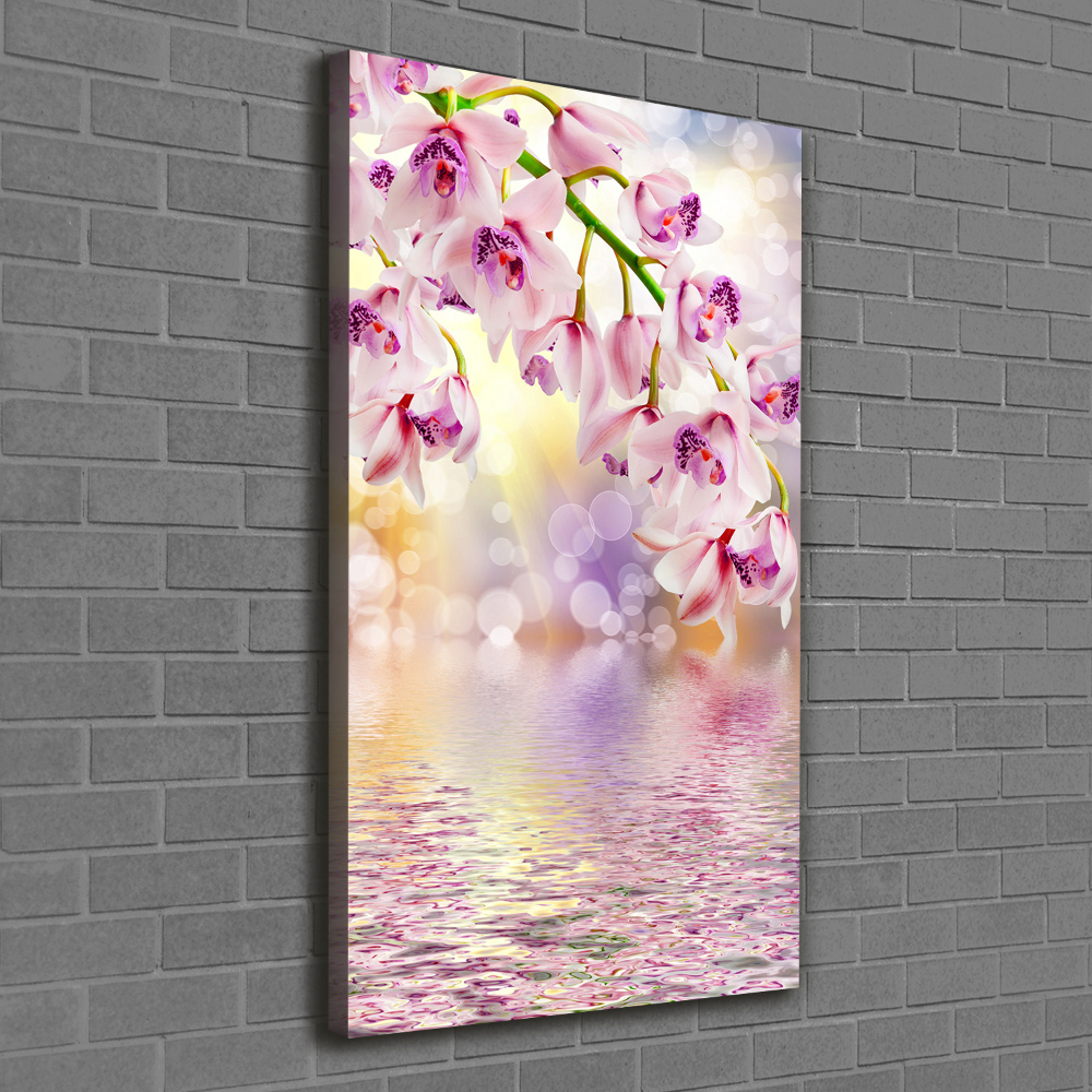 Tableau photo sur toile Orchidée