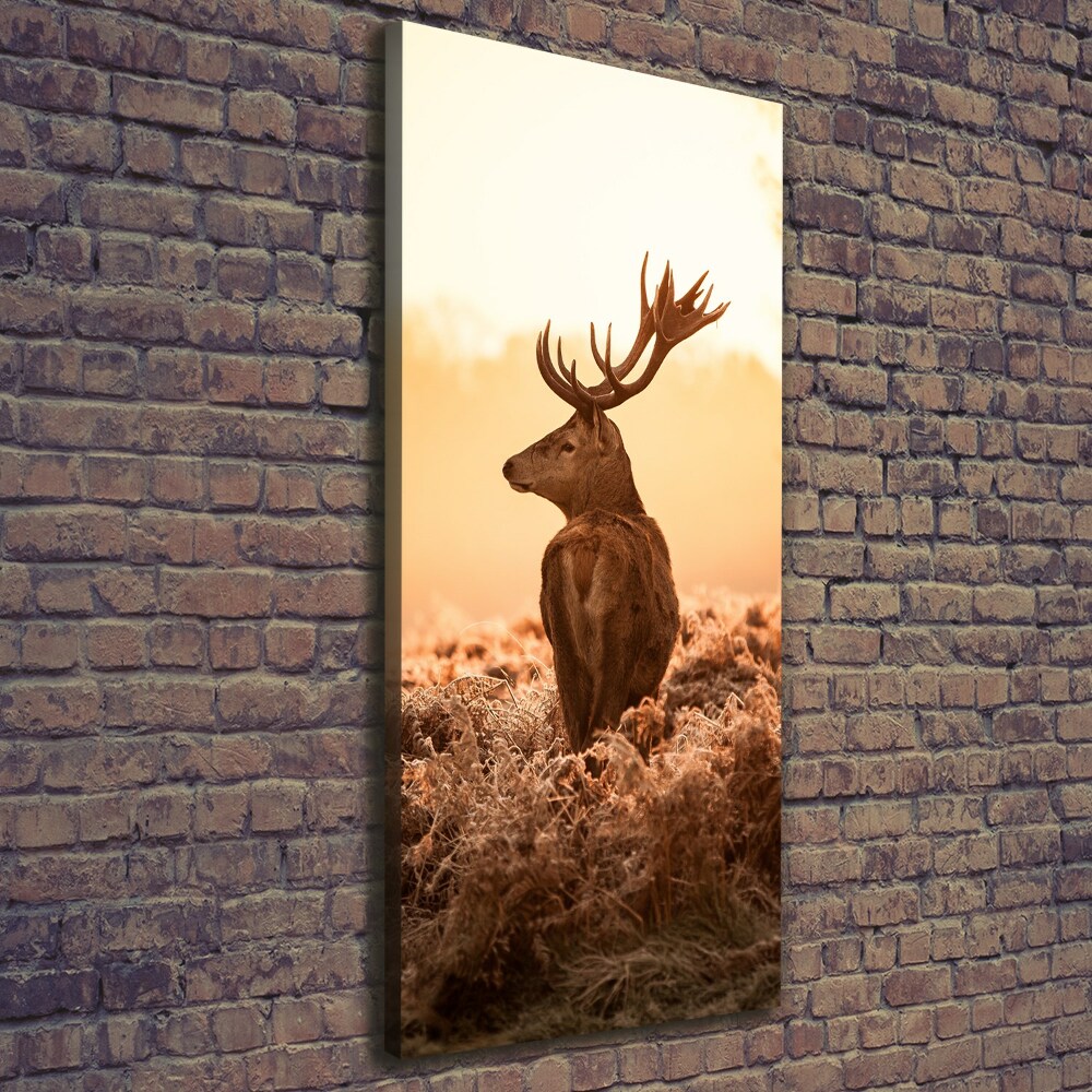 Tableau photo sur toile Cerf au lever du soleil