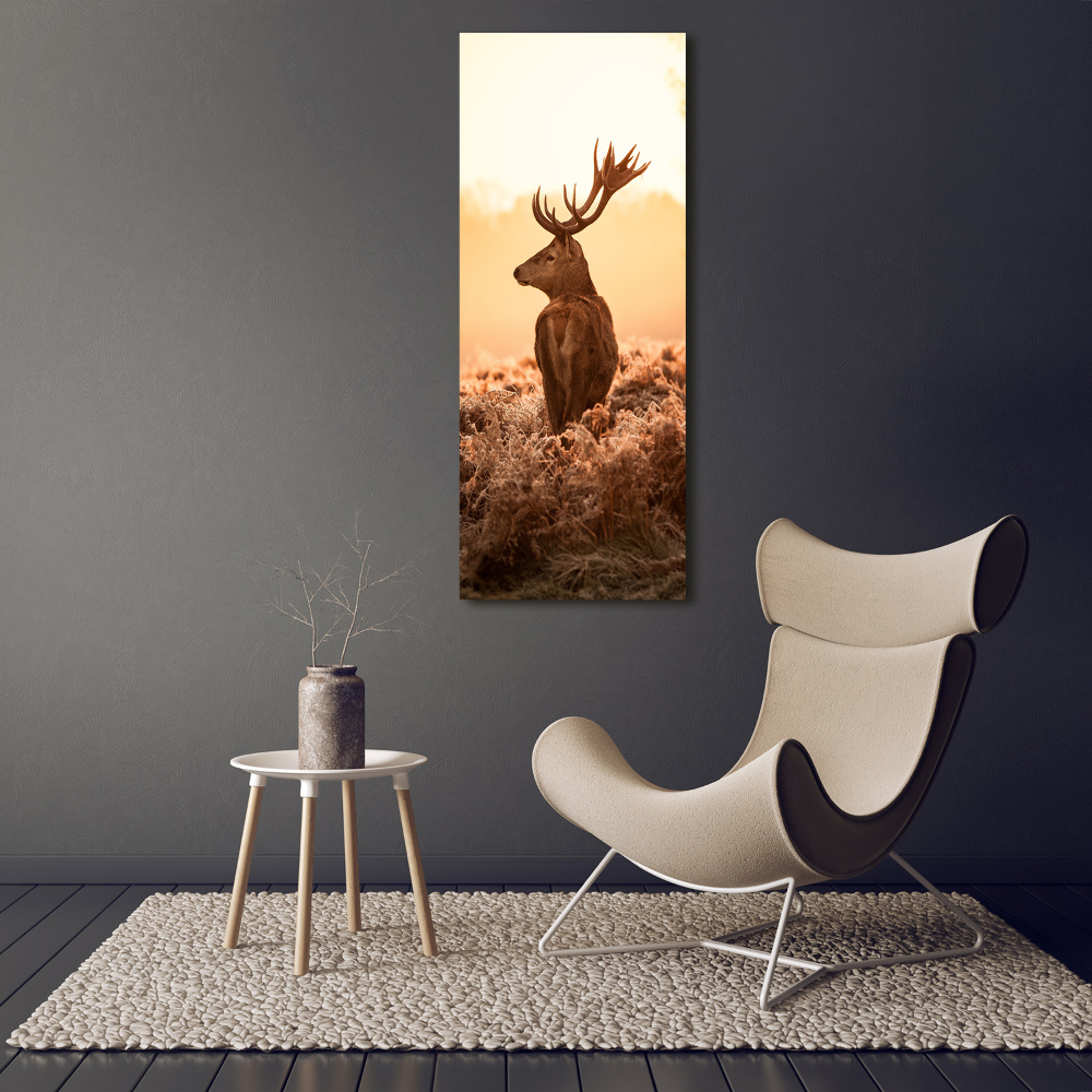 Tableau photo sur toile Cerf au lever du soleil