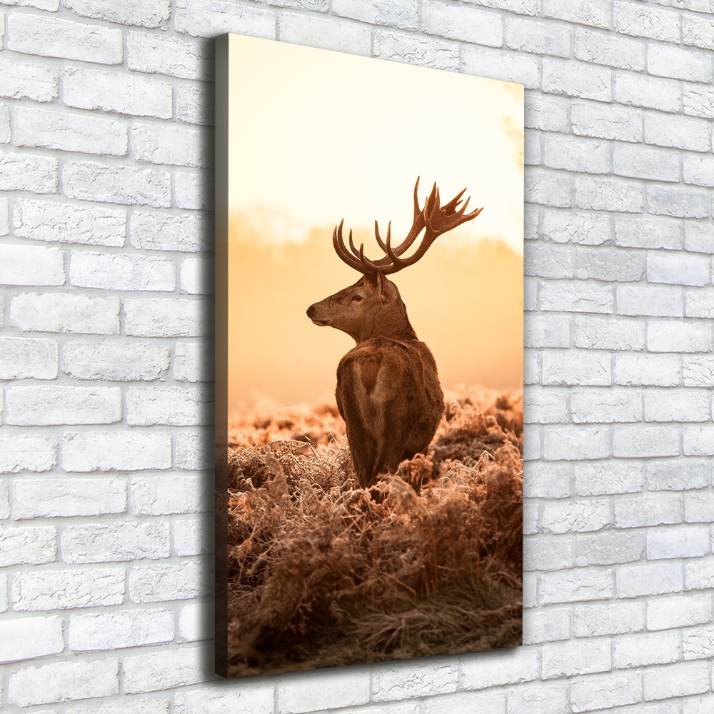 Tableau photo sur toile Cerf au lever du soleil