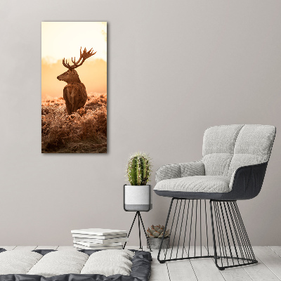 Tableau photo sur toile Cerf au lever du soleil