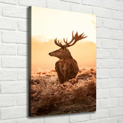 Tableau photo sur toile Cerf au lever du soleil