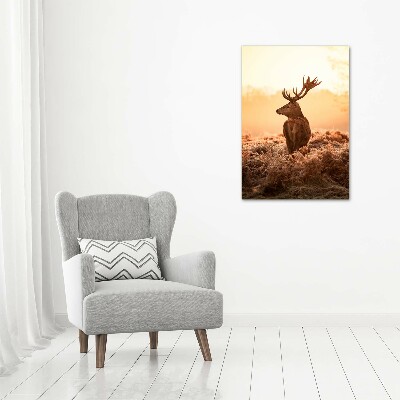 Tableau photo sur toile Cerf au lever du soleil