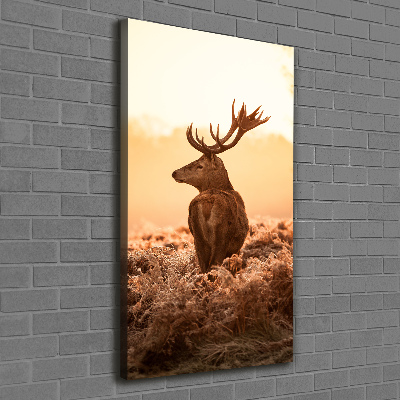 Tableau photo sur toile Cerf au lever du soleil