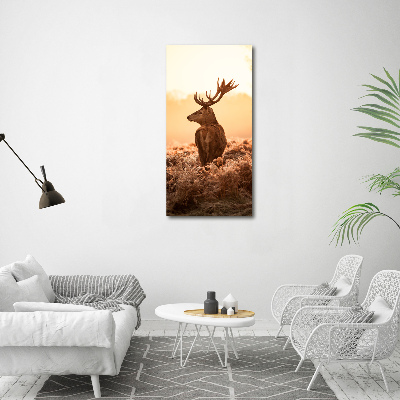 Tableau photo sur toile Cerf au lever du soleil