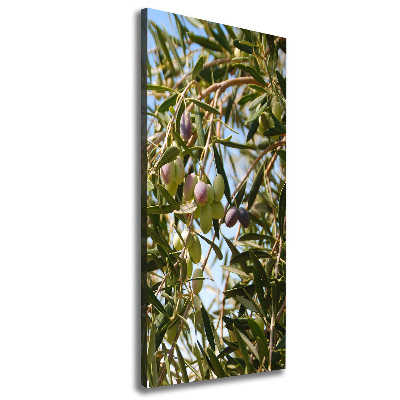 Tableau toile imprimée Olives sur un arbre