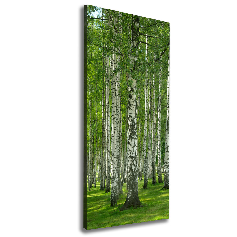 Tableau sur toile Les forêts de bouleaux