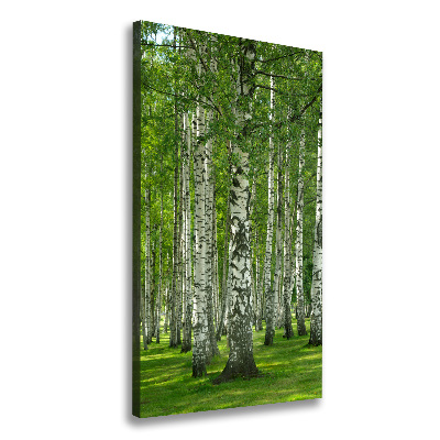 Tableau sur toile Les forêts de bouleaux