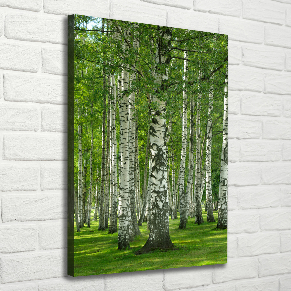 Tableau sur toile Les forêts de bouleaux