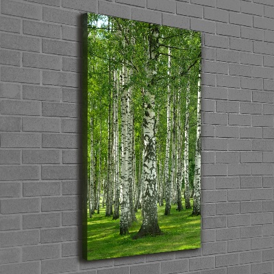 Tableau sur toile Les forêts de bouleaux