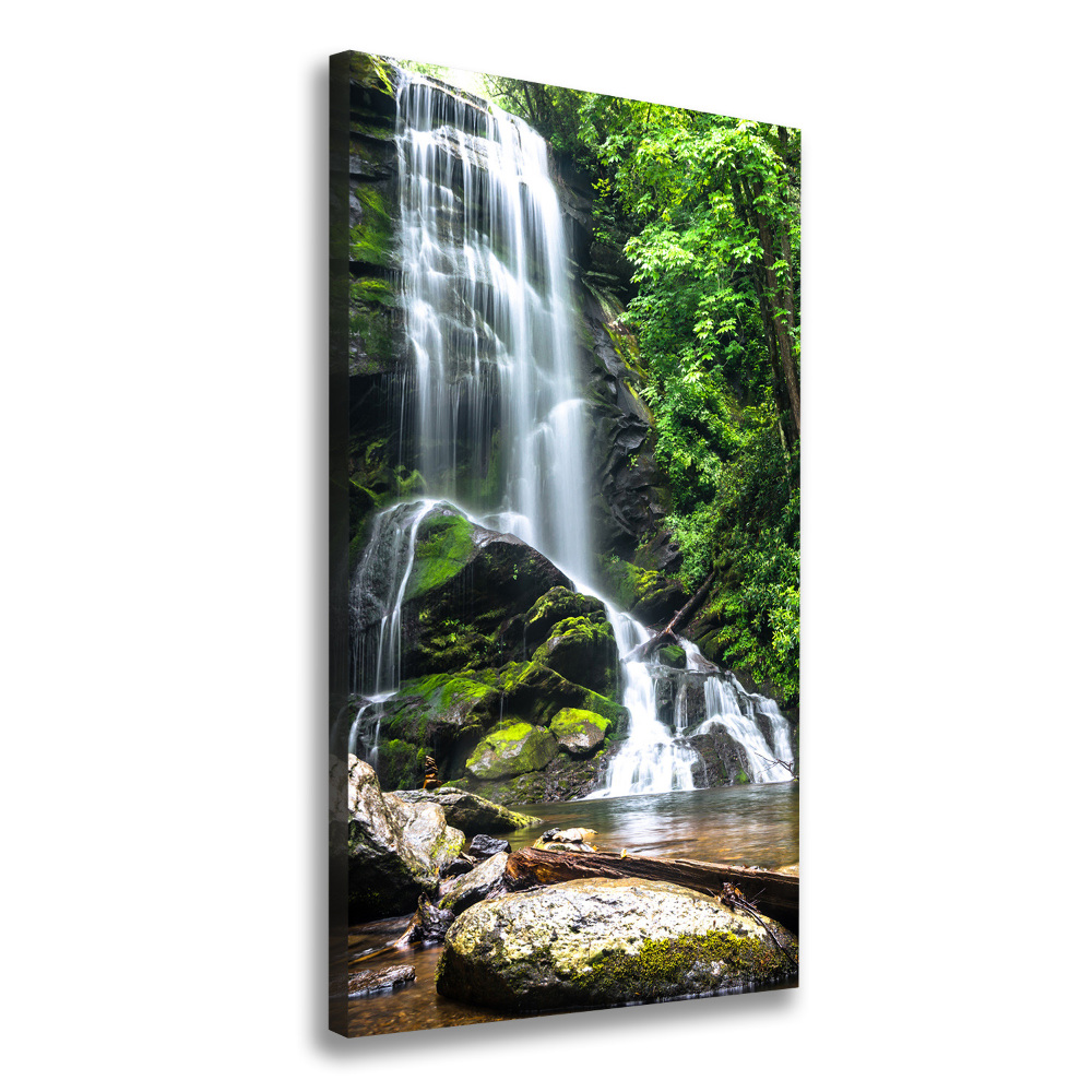 Tableau photo sur toile Cascade dans la jungle