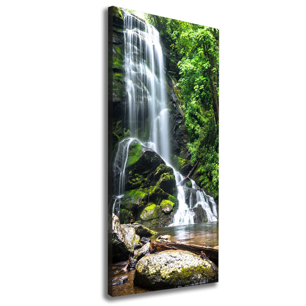 Tableau photo sur toile Cascade dans la jungle