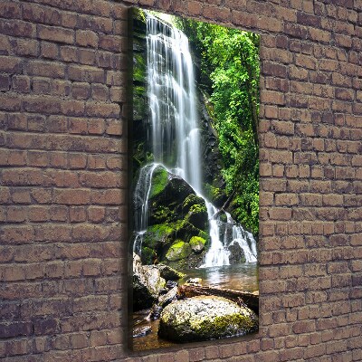 Tableau photo sur toile Cascade dans la jungle