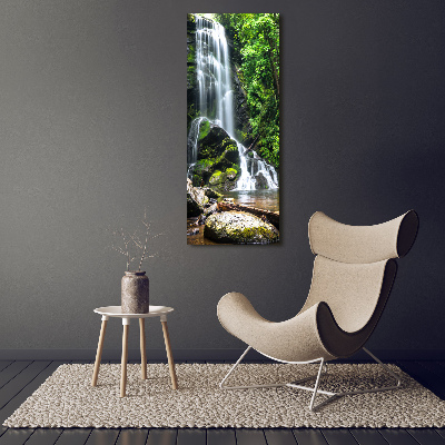 Tableau photo sur toile Cascade dans la jungle