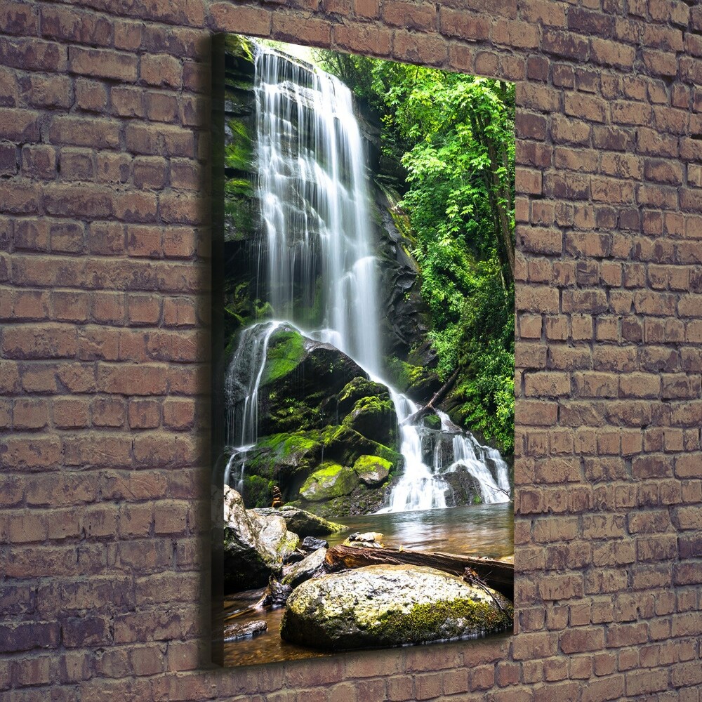 Tableau photo sur toile Cascade dans la jungle