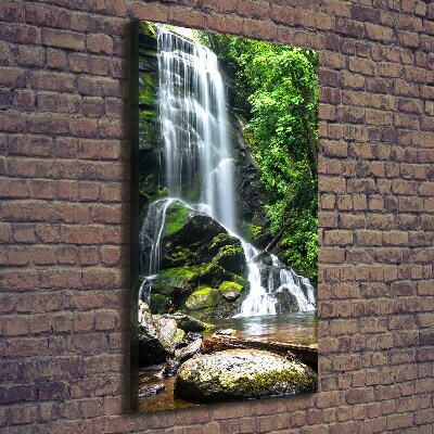 Tableau photo sur toile Cascade dans la jungle