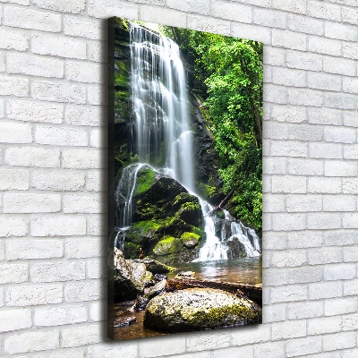 Tableau photo sur toile Cascade dans la jungle