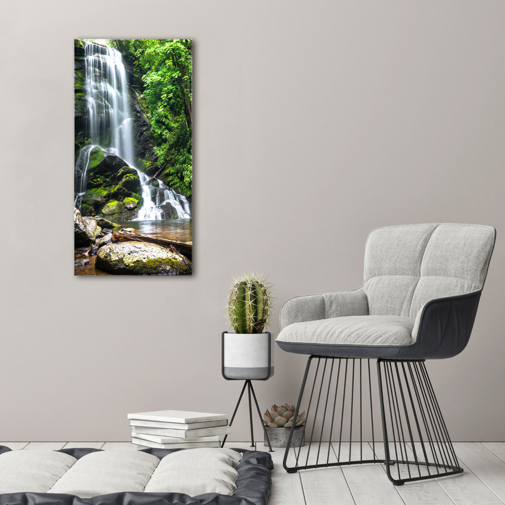 Tableau photo sur toile Cascade dans la jungle