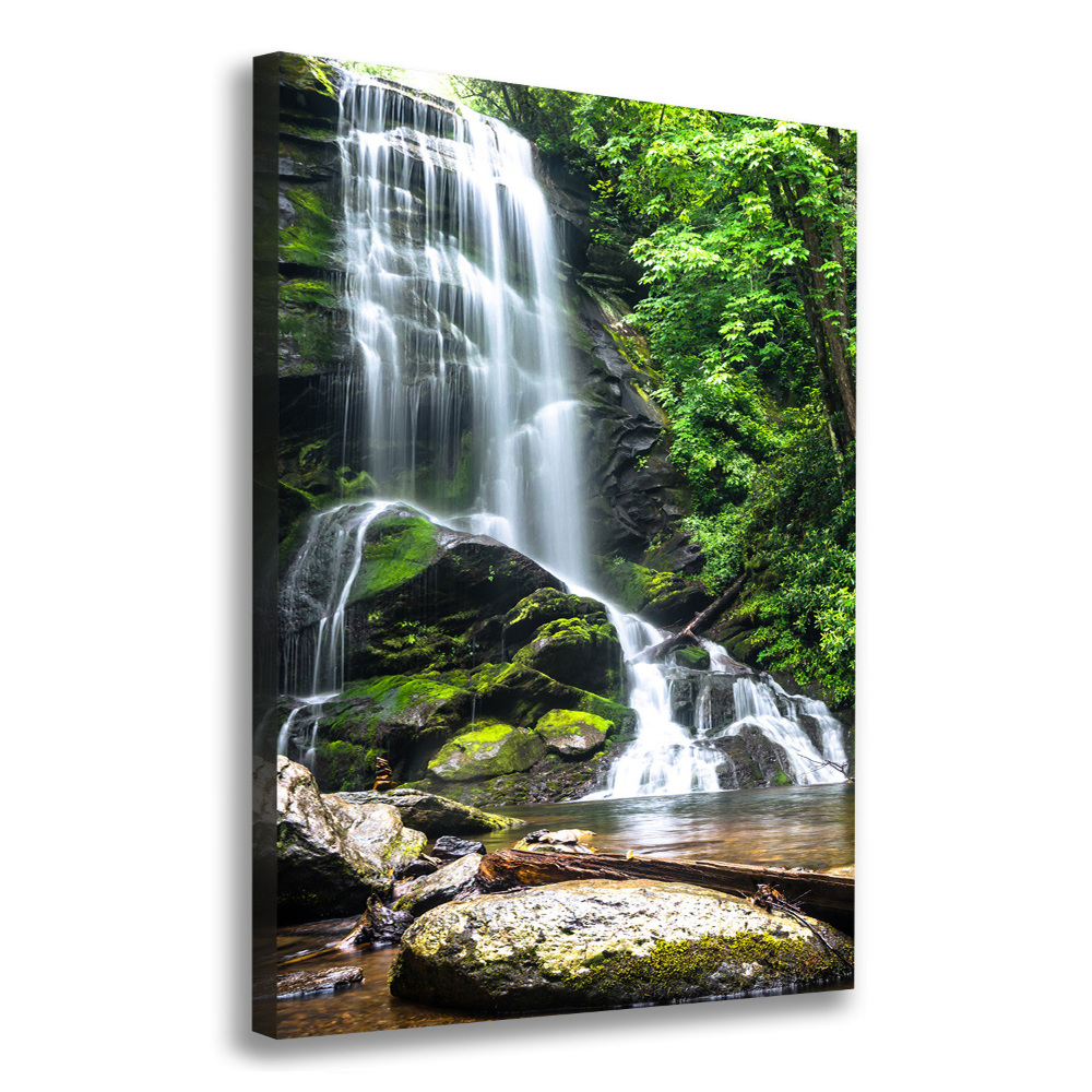 Tableau photo sur toile Cascade dans la jungle