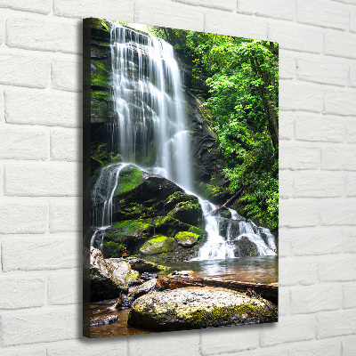 Tableau photo sur toile Cascade dans la jungle