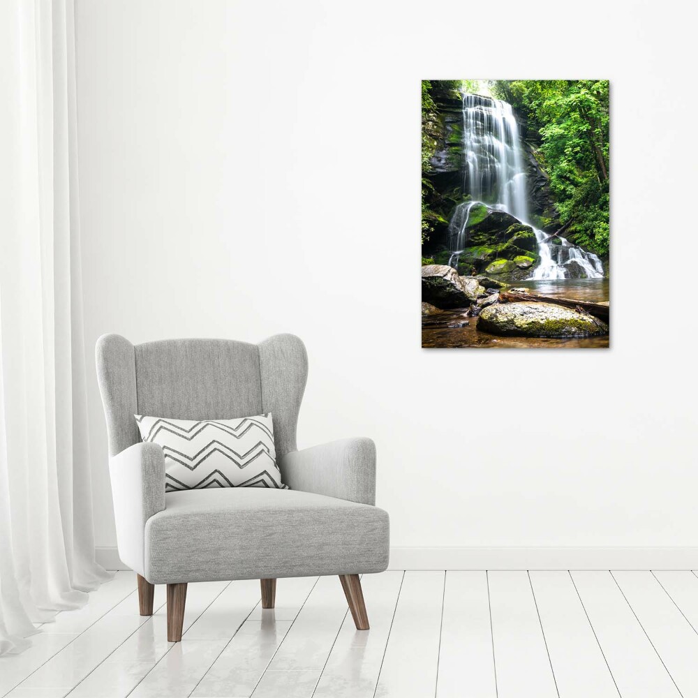 Tableau photo sur toile Cascade dans la jungle