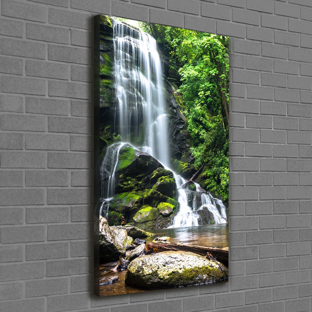 Tableau photo sur toile Cascade dans la jungle