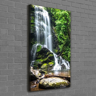 Tableau photo sur toile Cascade dans la jungle